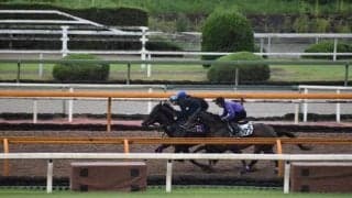 ポタジェ、毎日王冠2週前追い切り速報/栗東トレセンニュース