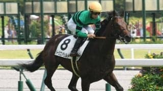 新馬戦で衝撃の8馬身差V 大物候補ハーツコンチェルトは東スポ杯2歳Sへ