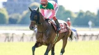 【神戸新聞杯出走馬・騎手確定】プラダリア＆池添謙一騎手、パラレルヴィジョン＆ルメール騎手など17頭