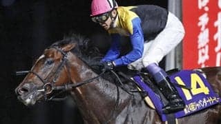 【船橋・日本テレビ盃出走予定馬】ノットゥルノ、クラウンプライドら