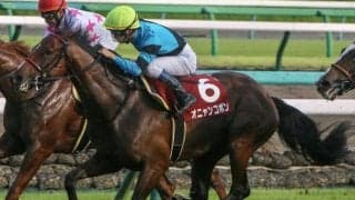 オニャンコポンなどセントライト記念出走の3頭が菊花賞見送りへ