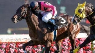 【次走】セントライト記念6着のボーンディスウェイは菊花賞へ