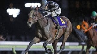 【大井・ゴールドジュニア結果】リベイクフルシティが追い込み決めデビュー4連勝