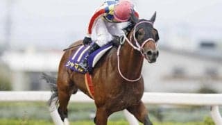 ダート短距離界の王者へ 重賞V3のシャマルは南部杯でJpnI初制覇を狙う