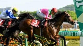 神戸新聞杯は血統的視点からも１番人気には逆らえない。対抗には母系が欧州クラシック血統の人気薄を狙う