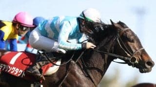 【オールカマー枠順確定】デアリングタクトは6枠8番、ソーヴァリアントは4枠4番