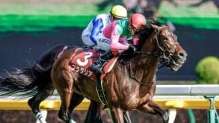 【神戸新聞杯枠順確定】プラダリアは7枠14番、パラレルヴィジョンは6枠11番