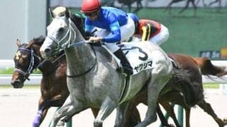 【次走】英国産馬ヤクシマは京王杯2歳Sを視野に