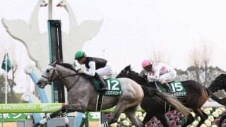 パクスアメリカーナが競走馬登録抹消