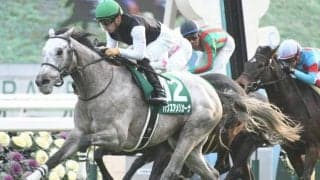 ホエールキャプチャの全弟パクスアメリカーナ引退、種牡馬に