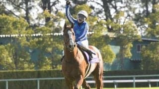 秋GI開幕戦 春のスプリント王、昨年の3歳マイル王者、重賞6勝牝馬など快速自慢が集結/スプリンターズS想定