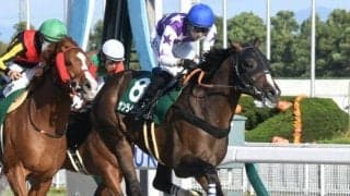 秋のダートGIに向けて実力馬が多数集結 昨年の覇者、有力3歳馬、マルシュロレーヌ半弟など/シリウスS想定