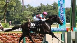 今年の神戸新聞杯は春のクラシック好走馬が不在。末脚秘める２頭の伏兵が「下剋上」を起こす