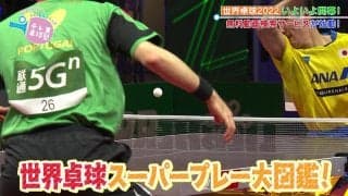 【卓球塾】世界卓球スーパープレー大図鑑 超絶プレー映像を検索できる新サービス！