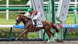 【中山3R新馬戦結果】トレドがレコードで逃げ切り6馬身差圧勝