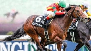 【次走】キングストンボーイはルメール騎手とのコンビで毎日王冠へ