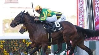 【神戸新聞杯予想】ディープインパクト産駒は例外！ 前走がダービー以外の重賞だった馬も○○に注目