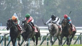 伝説のGII？ 2019年マイラーズC掲示板内の5頭が全て種牡馬に パクスアメリカーナが仲間入り