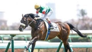 【神戸新聞杯前日オッズ】パラレルヴィジョンが3.4倍で1番人気