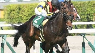 【オールカマー予想】実は左回り巧者!? 世代屈指の能力も鵜呑みにできない前走勝利