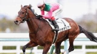 【今日の注目ポイント】中山でオールカマー、中京では神戸新聞杯