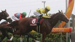 【ローズS】アートハウスが人気に応えて秋華賞権利獲得