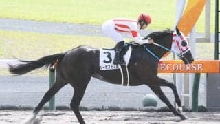 【新馬/中京4R】12番人気 ルーカスミノルVで波乱！断然人気馬に競り勝つ