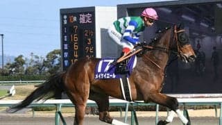 【スプリンターズS想定騎手】メイケイエールは池添謙一騎手、ナムラクレアは浜中俊騎手