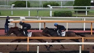 【シリウスS想定騎手】バーデンヴァイラーは福永祐一騎手、オーヴェルニュは団野大成騎手