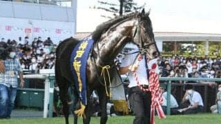 長距離で実績を残す血統 3馬身半差をつけジャスティンパレスが圧勝