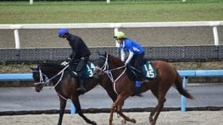 スマートアイなど、先週のゲート試験/栗東トレセンニュース