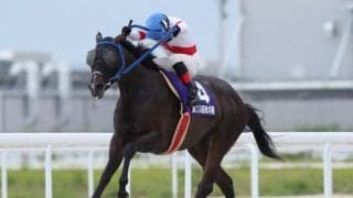 【名古屋・秋の鞍結果】高知のアンティキティラが押し切って重賞3勝目