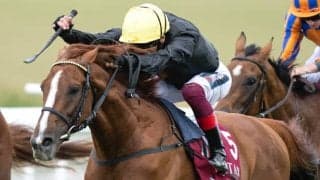 芝3200mのGIを4連覇＆芝4000mのGIを3連覇など大活躍した名ステイヤーが引退