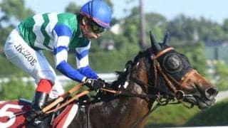 【スプリンターズS予想オッズ】メイケイエールが予想1番人気