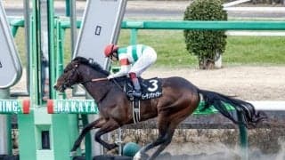 【シリウスS予想オッズ】バーデンヴァイラーが予想1番人気