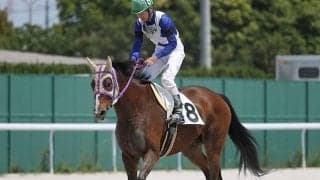 ウオッカと同期の18歳馬が名古屋競馬に登場 国内最高齢出走記録を更新