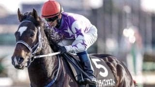 【スプリンターズS展望】秋のGIシリーズ開幕戦、1200mより長い距離の実績に注目