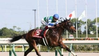 スプリンターズＳ、新たな短距離女王候補メイケイエールは本当にひと皮むけたのか