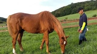 タイキシャトルと過ごした日々(4)「シャトルは、この時を選んで天に召された気がする」