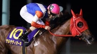 【日本テレビ盃注目馬】9頭の重賞勝ち馬が豪華共演　JBCクラシックへの切符を掴むのは