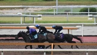 ポタジェ、毎日王冠1週前追い切り速報/栗東トレセンニュース