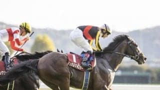 【スプリンターズS予想】Aiエスケープが高く評価！ 断然の人気を集めそうなメイケイエールではなく意外な一頭