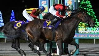 【日本テレビ盃】船橋所属 フィールドセンスが豪快に差し切る