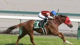 父系ミスタープロスペクター系が好成績のスプリンターズＳ。本命は一択も、名牝を母に持つ７歳馬に激走の予感