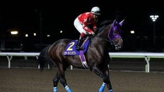 【地方競馬】ホッカイドウ競馬・佐久間雅貴調教師が500勝を達成 現役調教師11人目の記録