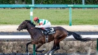 【シリウスS出走馬・騎手確定】バーデンヴァイラー＆福永祐一騎手、ハピ＆横山典弘騎手など16頭