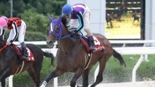 【園田・姫山菊花賞結果】ラッキードリームが大外強襲を決めてV ジンギは3着