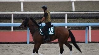 【JRA新馬戦】ダノンザキッドの半弟ダノンタッチダウンなどがデビュー