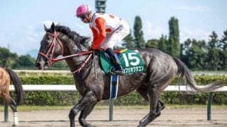 【金沢・白山大賞典出走予定馬】カフジオクタゴン、ブリッツファングら