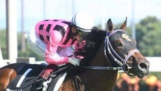 【次走】ファントムシーフは京都2歳SとホープフルSの両にらみ